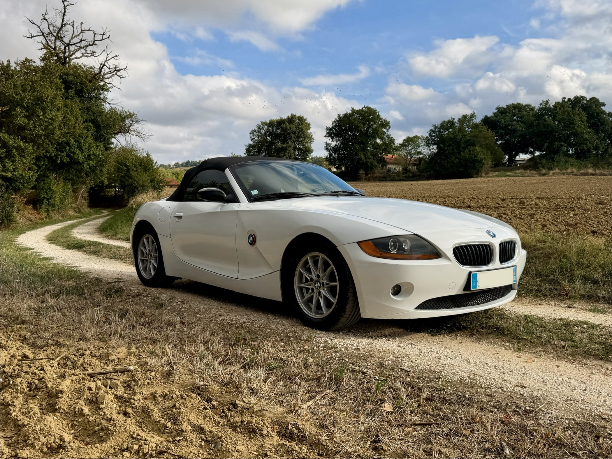 BMW Z4 2003